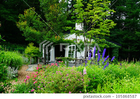 北海道風之花園之夏 105868587