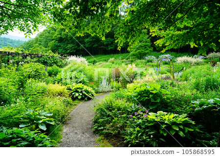 Hokkaido Kaze no Garden Summer Hokkaido Kaze no Garden Summer 105868595