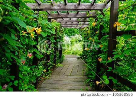 Hokkaido Kaze no Garden Summer Hokkaido Kaze no Garden Summer 105868596