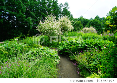 Hokkaido Kaze no Garden Summer Hokkaido Kaze no Garden Summer 105868597