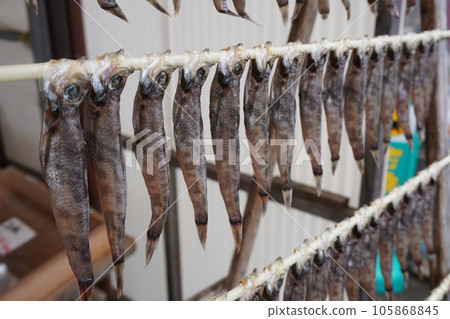 "fish market" 105868845
