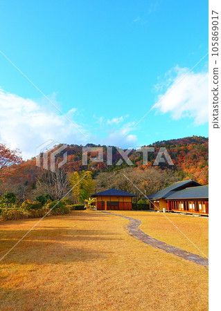 Risshakuji Temple Yamadera Fall foliage Yellow leaves Yamadera Basho Memorial Museum 105869017