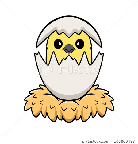 Cute gray cockatiel bird cartoon inside from egg Cute gray cockatiel bird cartoon inside from egg 105869488