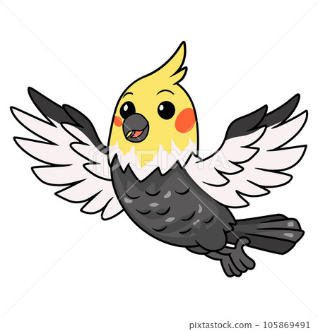 Cute gray cockatiel bird cartoon Cute gray cockatiel bird cartoon 105869491
