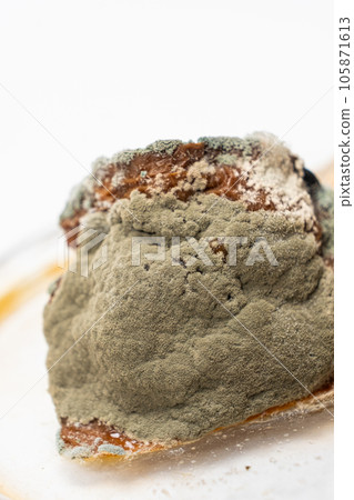Mold on food macro on a white background. The danger of mold, stale products. Mold on food macro on a white background. The danger of mold, stale products. 105871613