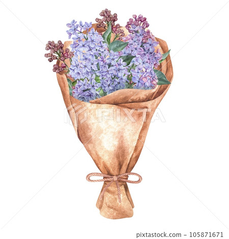 Bouquet of Lilac Flowers. watercolor botanical illustration. Hand drawn clip art isolated on a white background. Purple floral spring composition wrapped in craft paper. Vintage gift drawing 105871671