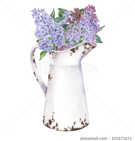 Bouquet of Lilacs in a vintage vase. Watercolor botanical illustration of purple flowers in a jar. Hand drawn bouquet in a rusty jug isolated on a white background. Floral drawing in retro farm style Bouquet of Lilacs in a vintage vase. Watercolor botanical illustration of purple flowers in a jar. Hand drawn bouquet in a rusty jug isolated on a white background. Floral drawing in retro farm style 105871672