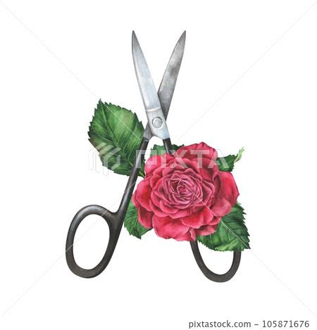 Watercolor illustration. Scissors for manicure and pink rose. Hand drawn isolated clip art on white background. For posters, prints, stickers, business cards, beauty salon, cosmetic stores logos Watercolor illustration. Scissors for manicure and pink rose. Hand drawn isolated clip art on white background. For posters, prints, stickers, business cards, beauty salon, cosmetic stores logos 105871676