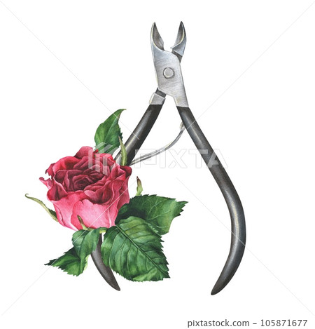 Watercolor illustration. Nippers for manicure and pink rose. Hand-drawn and isolated on white background. For the design of print on a cosmetic bag, packaging of manicure set, poster in beauty salons Watercolor illustration. Nippers for manicure and pink rose. Hand-drawn and isolated on white background. For the design of print on a cosmetic bag, packaging of manicure set, poster in beauty salons 105871677