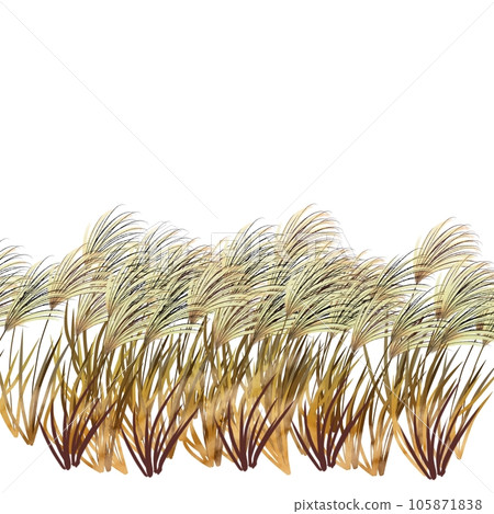 鈴木2 鈴木2 105871838