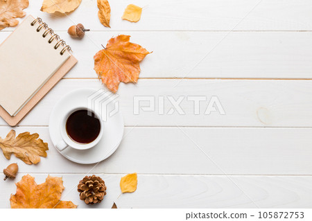 Autumn composition 105872753