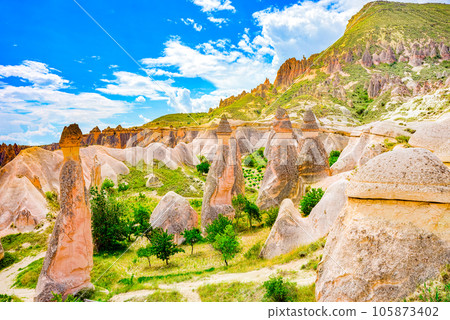 Place in Cappadocia-Fairy Chimneys (Pasabag Valley). 105873402