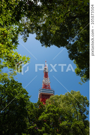 Tokyo Tower seen through the trees 105873504
