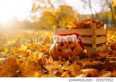 Halloween pumpkins on the autumn street. Holidays, decoration concept. 105873602