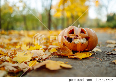 Halloween pumpkins on the autumn street. Holidays, decoration concept. Halloween pumpkins on the autumn street. Holidays, decoration concept. 105873606