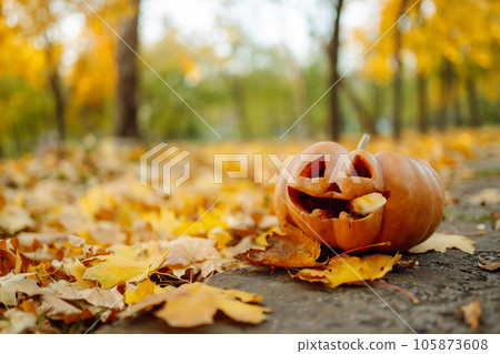 Halloween pumpkins on the autumn street. Holidays, decoration concept. Halloween pumpkins on the autumn street. Holidays, decoration concept. 105873608