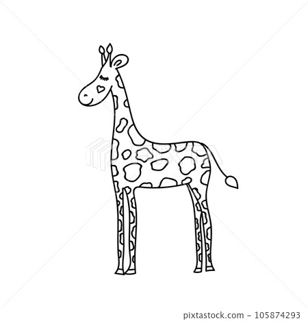 Funny vector illustration of giraffe Funny vector illustration of giraffe 105874293