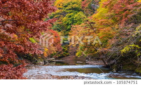 Yuze Valley (Autumn) Yuze Valley (Autumn) 105874751