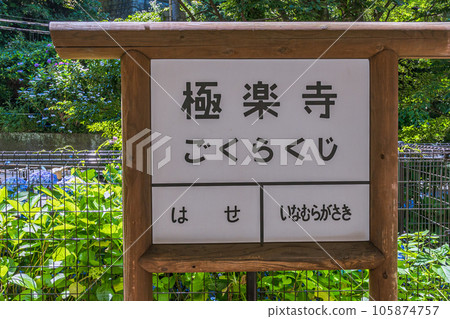 江之電、繡球花 極樂寺 鎌倉 江之電、繡球花 極樂寺 鎌倉 105874757