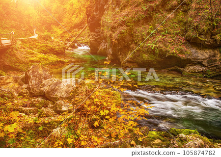 Vintgar gorge, Slovenia 105874782