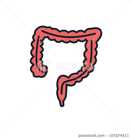 Intestines Vector Line Icons Intestines Vector Line Icons 105874811