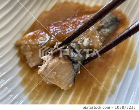 味噌燉鯖魚:一道甜鹹可口的日式燉藍魚料理。 味噌燉鯖魚:一道甜鹹可口的日式燉藍魚料理。 105875235