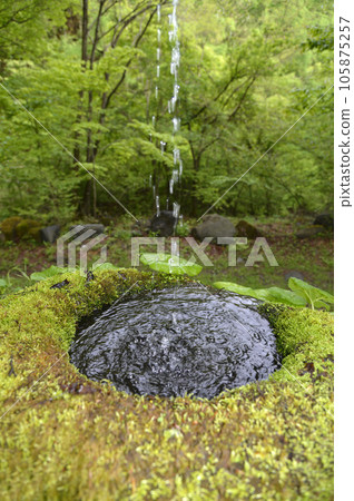 長野縣霧峰高原長足缽 105875257