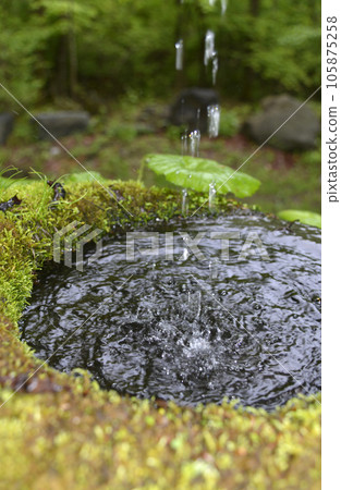 長野縣霧峰高原長足缽 105875258