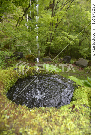 長野縣霧峰高原長足缽 105875259