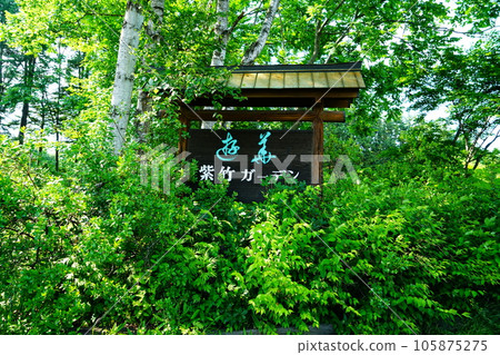 Hokkaido Shichiku Garden Summer Hokkaido Shichiku Garden Summer 105875275