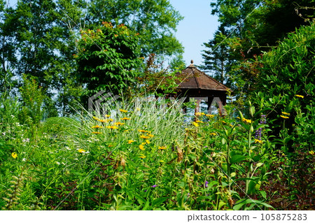 Hokkaido Shichiku Garden Summer Hokkaido Shichiku Garden Summer 105875283