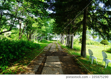 Hokkaido Shichiku Garden Summer Hokkaido Shichiku Garden Summer 105875290