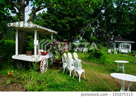 北海道紫竹花園 夏天 北海道紫竹花園 夏天 105875313