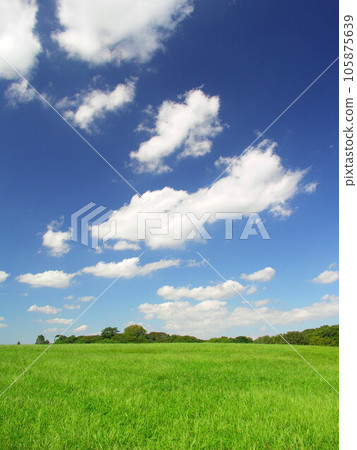 初秋的水元公園草地和森林風景 105875639