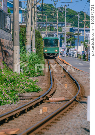 Enoden, Hydrangea Shichirigahama Station Enoden, Hydrangea Shichirigahama Station 105875721