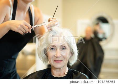 Senior gray-haired female client getting haircut in hairdressing salon Senior gray-haired female client getting haircut in hairdressing salon 105876263
