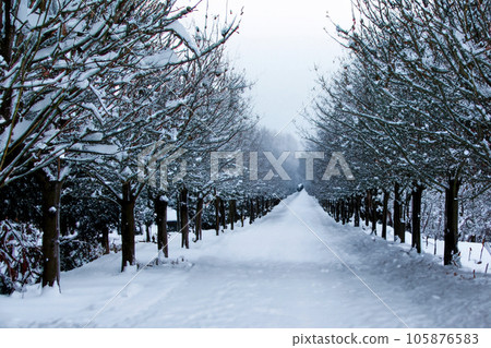 Winter Background Of Snow And Frost With Free Space For Your