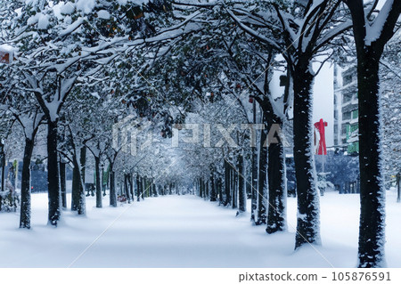 Snow. White blanket of snow. Winter concept. Snow covered streets. White cloak Christmas concept. Winter road and landscape of frozen trees. Free space for your decoration. Scenery of a city. Snow. White blanket of snow. Winter concept. Snow covered streets. White cloak Christmas concept. Winter road and landscape of frozen trees. Free space for your decoration. Scenery of a city. 105876591