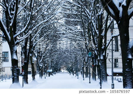 Snow. White blanket of snow. Winter concept. Snow covered streets. White cloak Christmas concept. Winter road and landscape of frozen trees. Free space for your decoration. Scenery of a city. 105876597