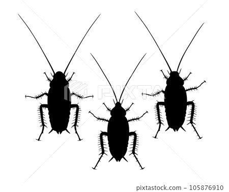 Cockroach monochrome vector isolated on white background. Pest insect. Bug top view Cockroach monochrome vector isolated on white background. Pest insect. Bug top view 105876910