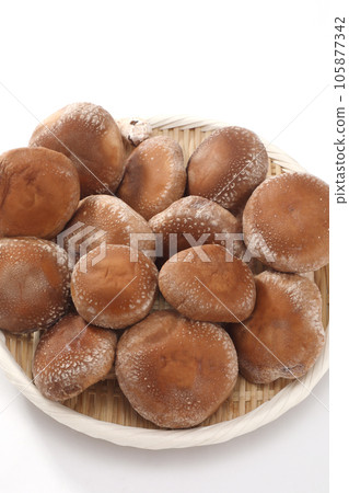 生香菇 生香菇 105877342