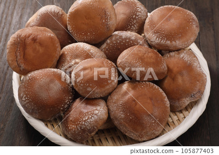 生香菇 生香菇 105877403