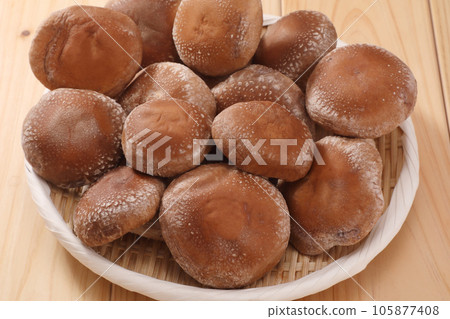 Raw shiitake mushroom 105877408