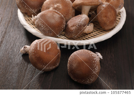 Raw shiitake mushroom 105877465