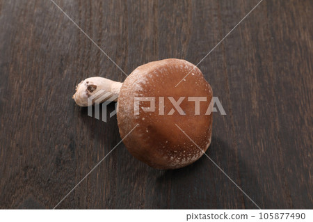 Raw shiitake mushroom 105877490