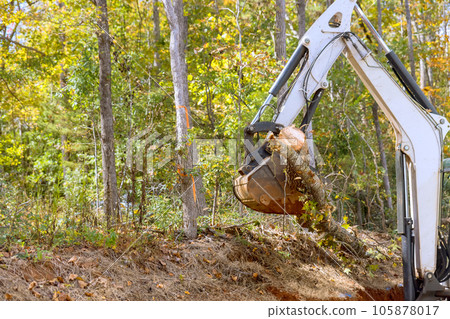 Skid steer tractor removes trees for housing complex construction in landscaping project 105878017