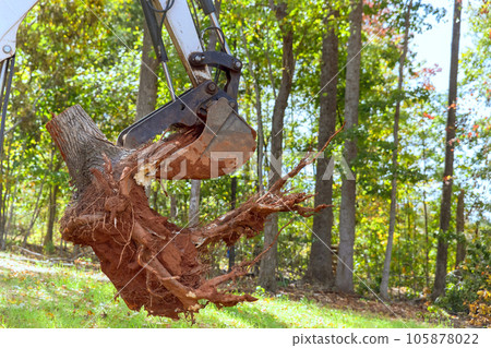 Skid steer tractor clears land by removing roots for a housing complex construction 105878022
