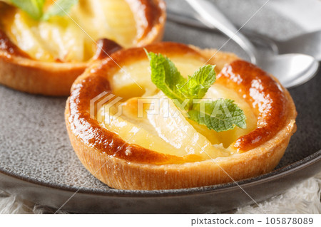 Classic baked Apple tartlet with custard and mint closeup in a plate. Horizontal 105878089
