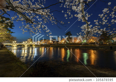 金澤著名的賞櫻勝地，淺野川沿岸的夜櫻和燈火通明的淺野川大橋 105878595