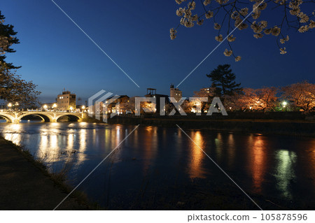 金澤著名的賞櫻勝地，淺野川沿岸的夜櫻和燈火通明的淺野川大橋 105878596